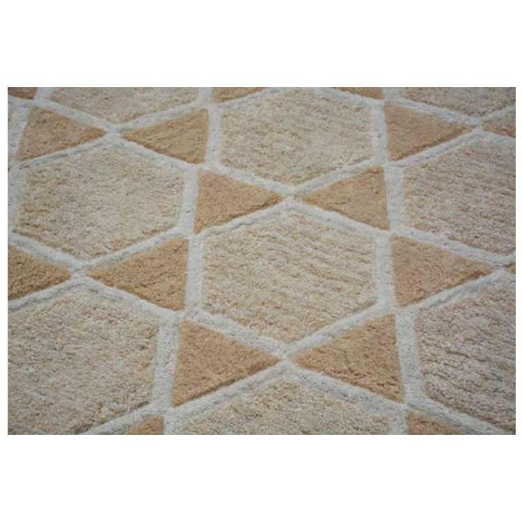 Arezoo Handtufted Rug