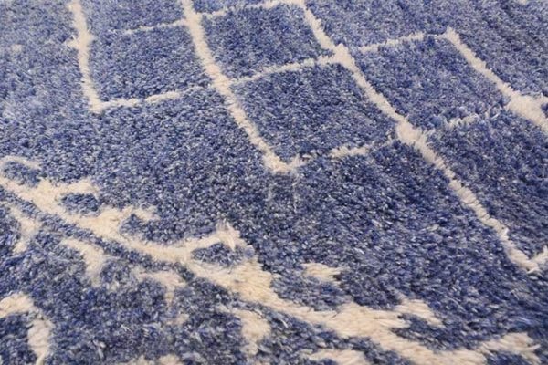 Dounia Handtufted Rug