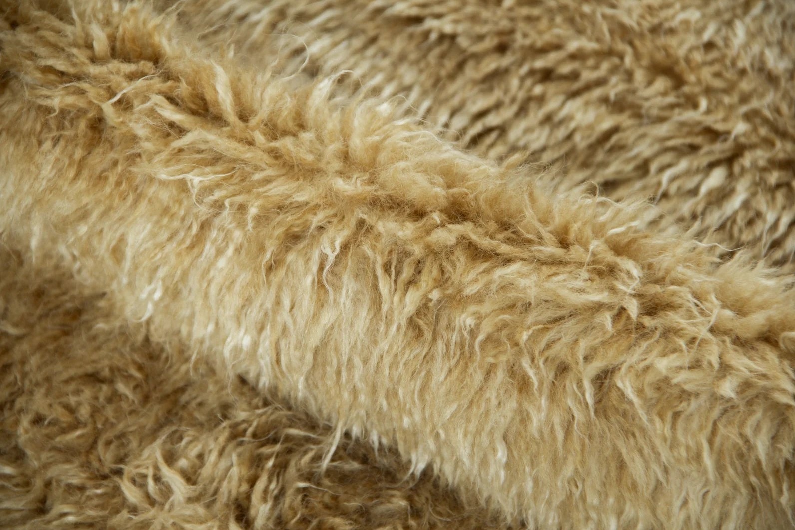 Dusk Olive Solid Shag Rug