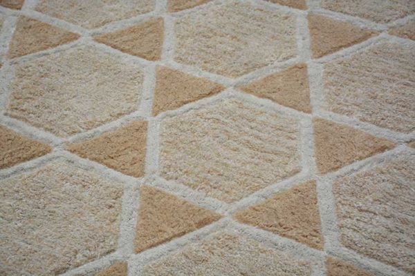 Arezoo Handtufted Rug